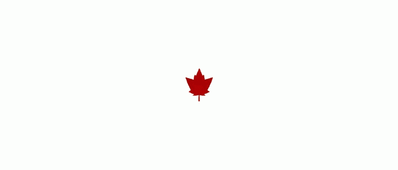 Kanada - javorový list