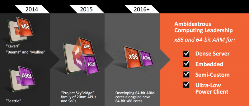 Amd Skybridge K 12 01