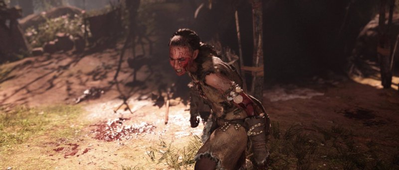 Farcry Primal 37 Farcry Primal 37