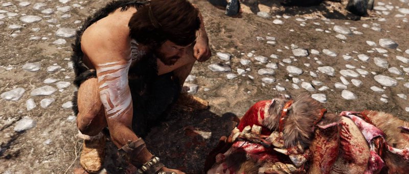 Farcry Primal 43 Farcry Primal 43