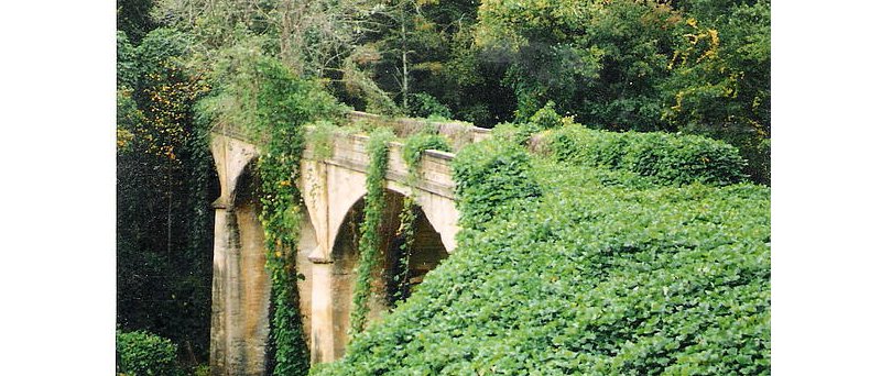 Ivy Bridge - Břečťanový most