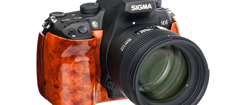 Sigma SD1 Amboyna Burl