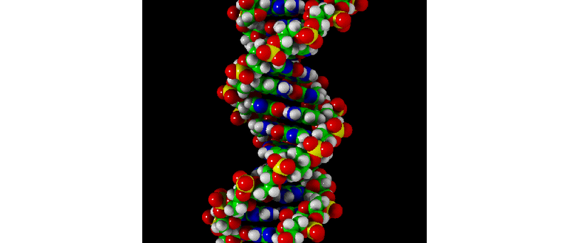 DNA