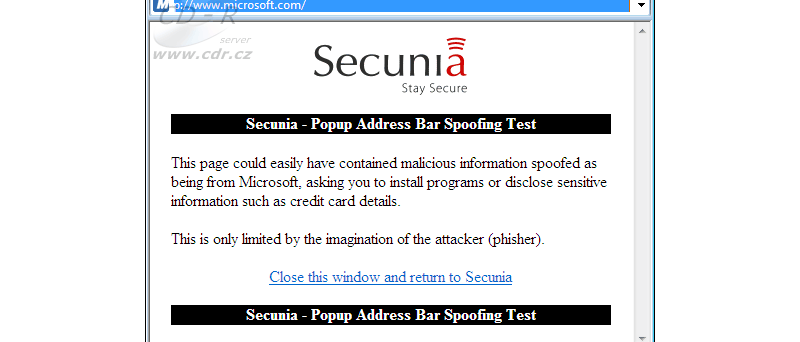 Okno Secunia testu Internet Explorer 7 Popup Address Bar Spoofin