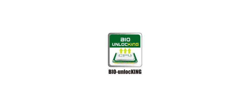 Biostar BIO-unlocKING logo