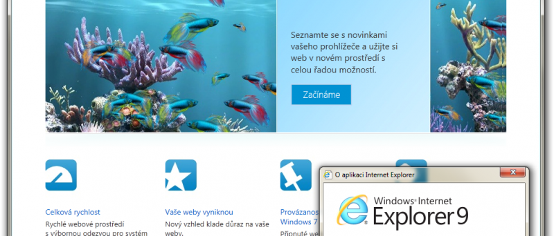 Windows Internet Explorer 9