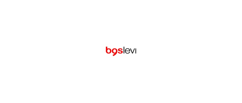 BGS LEVI logo