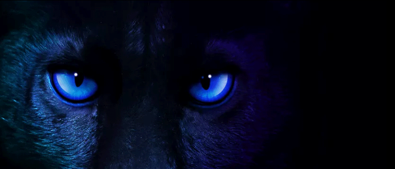 Panther Lake CES 2026