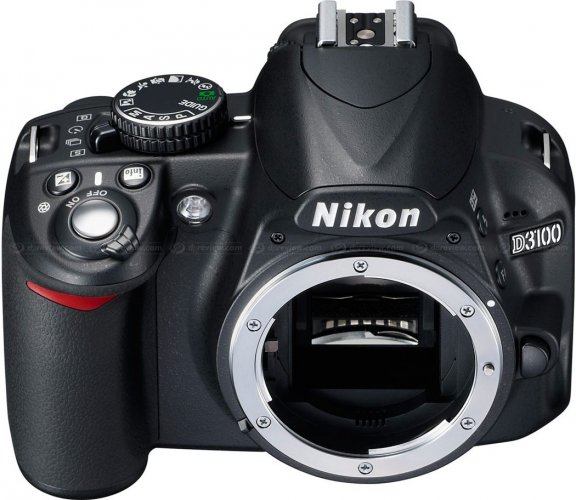 Nikon D3100