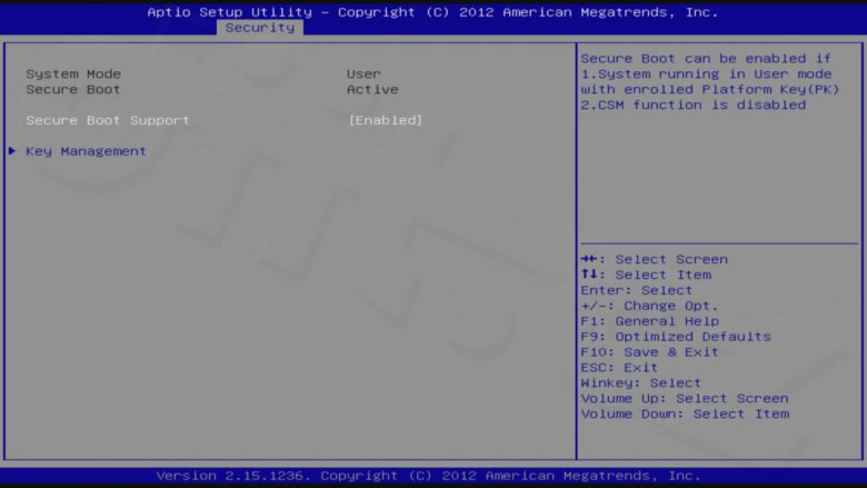 ASUS Transformer Book T100 - Setup - Security - Secure Boot Menu