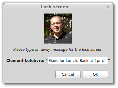 Linux Mint 15 - away_message