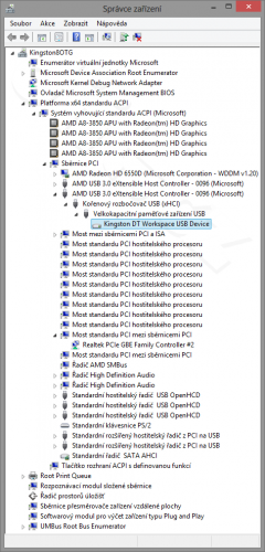Windows 8 - správce zařízení - Kingston DT Workspace