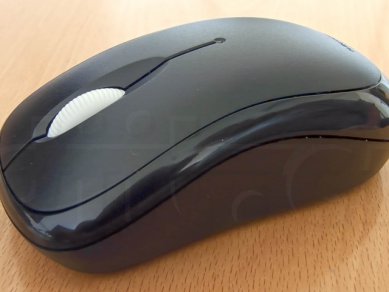 09 Ms Wireless Mouse 1000