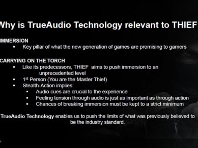 AMD TrueAudio 065