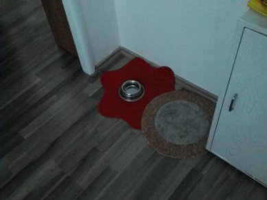 Zadni Kamera 2