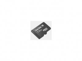 SanDisk microSD 1 GB