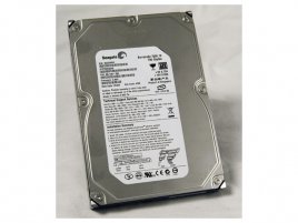 750GB Seagate 7200.10