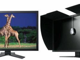 EIZO ColorEdge CG303W