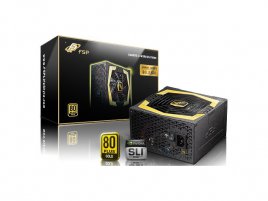 Fortron Aurum 600W