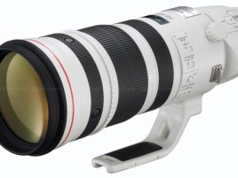 Canon EF 200-400mm f/4L IS USM Extender 1.4x