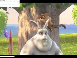 Adobe Flash Player 10.2 - využití Stage Video (Big Buck Bunny)