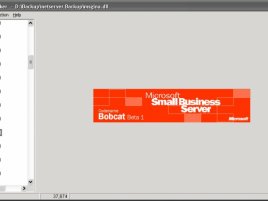 Microsoft Bobcat
