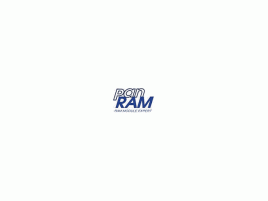 PanRAM logo