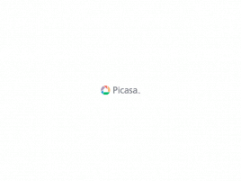 Picasa logo