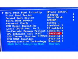 Podpora Virtualization Technology v BIOSu F7 desky GA-8I955X Roy