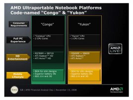 AMD Congo