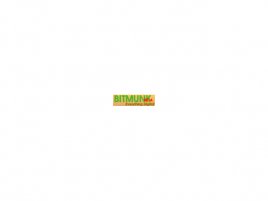 Bitmunk logo (beta)