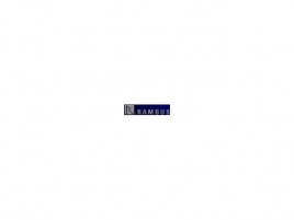 Rambus logo staré