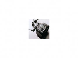 Casio MP3 hodinky