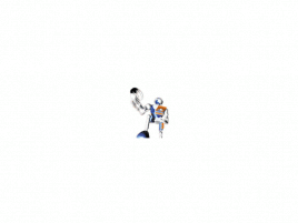 SimDisc