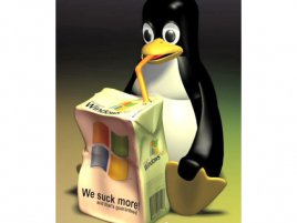 Linux vs. Windows