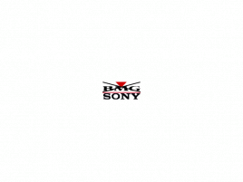 Sony BMG logo