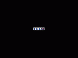 Teco logo