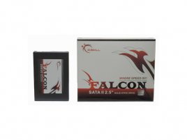 G.Skil 256GB SSD Falcon