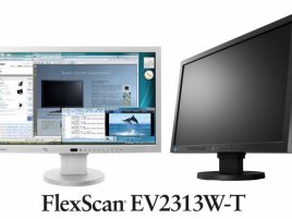 EIZO FlexScan EV2313W