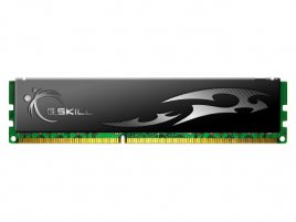 GSkill DDR3