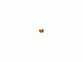 Mariposa logo