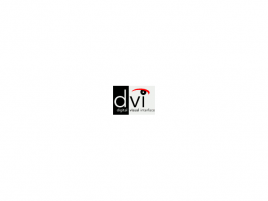 DVI logo