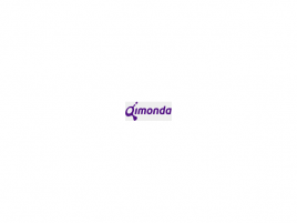 Qimonda logo