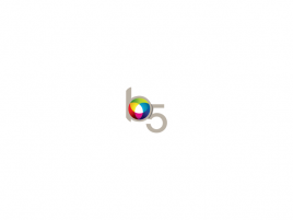 Bibble 5 Pro logo