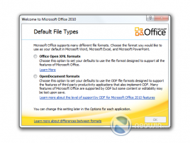 MS Office 2010 ballot screen