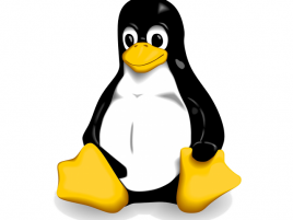 Linux logo