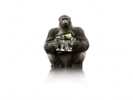 Gorilla Glass logo