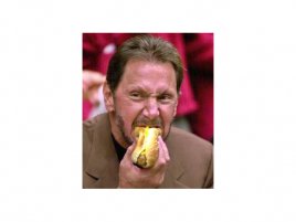 Larry Ellison s hotdog