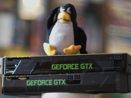 GeForce Linux logo