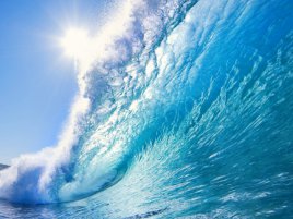 Hawaii Wave